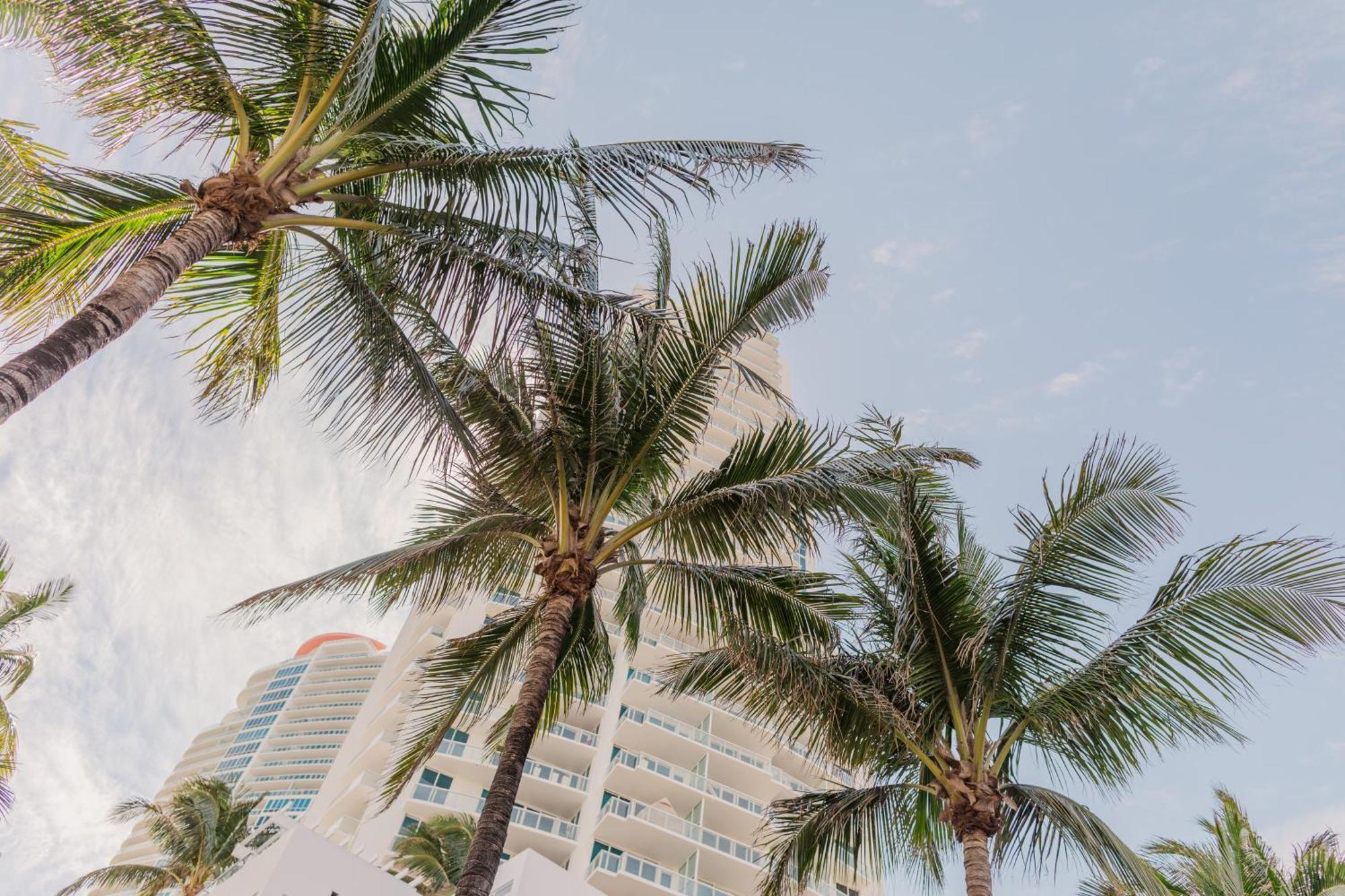 Rock Apartments By Lowkl Miami Beach Dış mekan fotoğraf